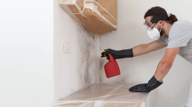 Professional Mold Removal technician working in Clinton, NY